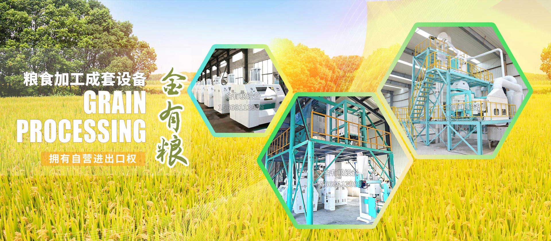山东金有粮脱皮制粉设备有限公司